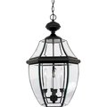 Quoizel Newbury Outdoor Hanging Lantern NY1180K